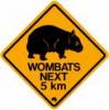 Аватар для Wombat